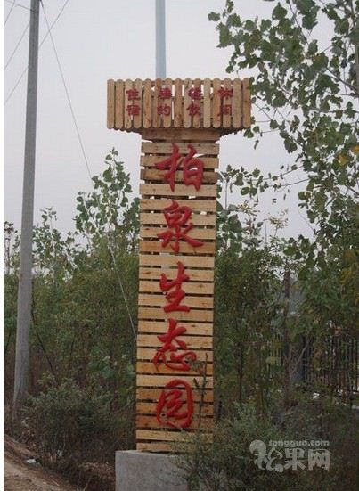 武汉东西湖柏泉生态园