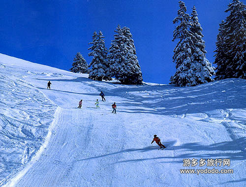 雪道滑雪
