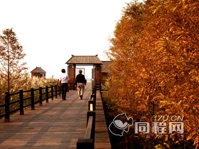 吴江阳光太湖度假村图片湿地走廊