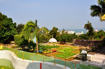 山庄菜园