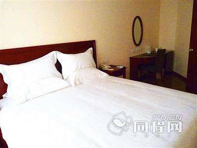北京格林豪泰酒店（大兴亦庄北岸店）图片大床房B