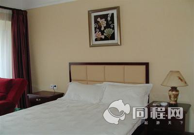 郑州华纳时尚酒店图片大床房