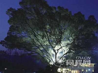 杭州九里松首席会馆图片夜景.