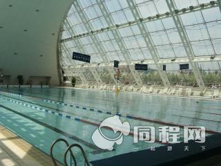 上海诺宝中心大酒店图片游泳池