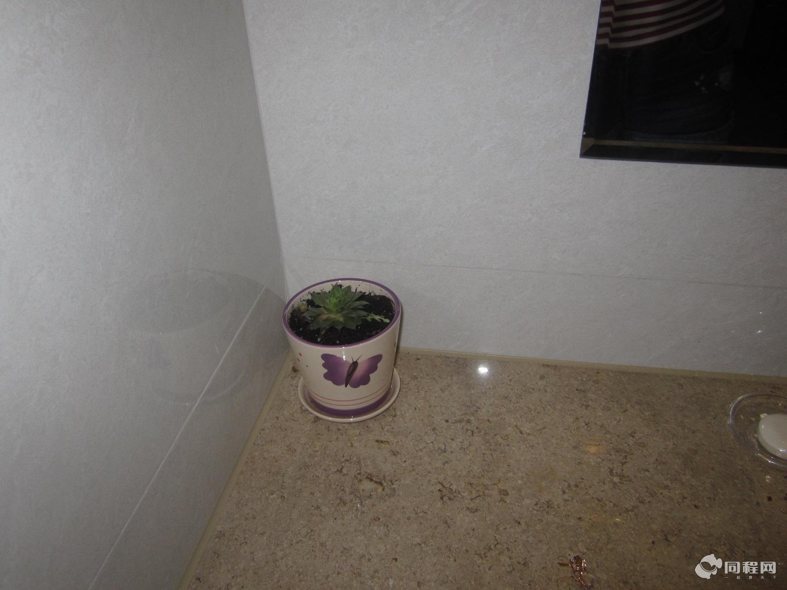 千岛湖36都斯维登连锁酒店（坪山一都店）图片洗手间竟然还有可爱的小植物,是活的喔[由13788gvq