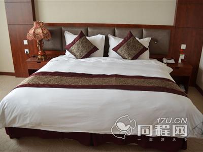 昆山海佳大酒店图片精致大床房