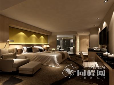 武汉纽宾凯鲁广国际酒店图片商务大床房