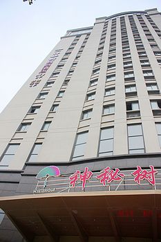 杭州神秘树商务酒店