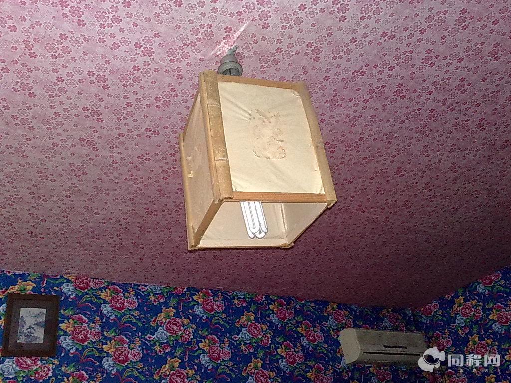 北京易天桦乡村商务酒店图片吊灯[由抹茶草莓提供]